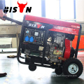 BS7500DCE 10kw diesel generator price